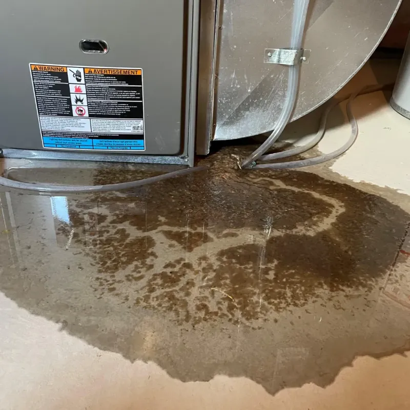 Appliance Leak Cleanup in Mono County, CA